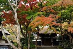 151122�߳л�����2