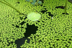 100714��Ĺ���ϥ�1