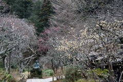 110115��Ļ�����2