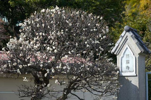 150216�Ѿ�������