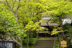 160411�߳л�����3