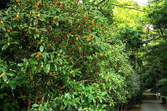 161002̯�ܻ�����⥯����2