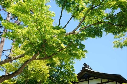 130503��Ĺ������