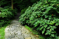 140829���������ޥ�������2