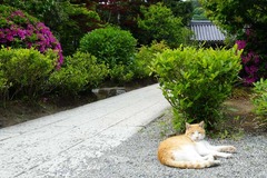 140508��̯���ͥ�