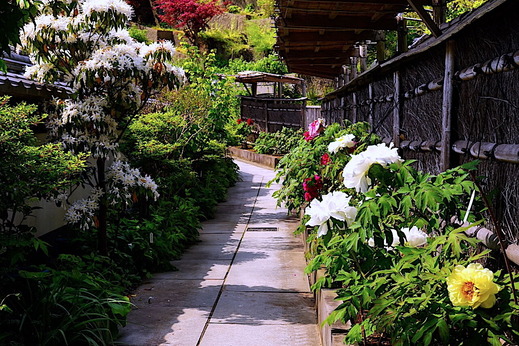 220423�߳л��ܥ���2