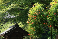 150710̯�ܻ��Υ����󥫥���3