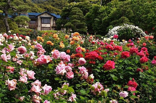 150517����ʸ�شۥХ�2