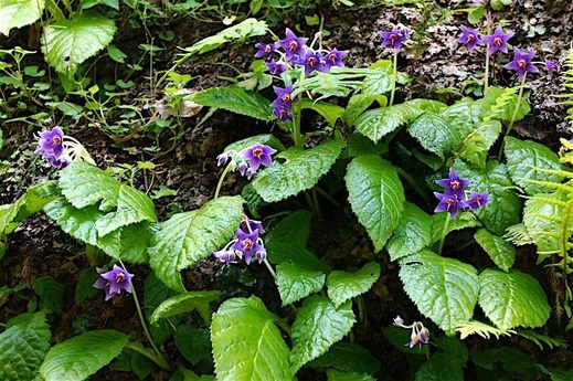 160602��Ļ����勵�Х�