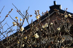 160122�߳л��ϥ��Х�