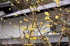 150107��Ļ������Х�