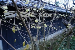 160114��Ļ������Х�