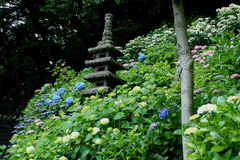 150604Ĺë����������1