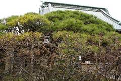 100303���ʻ��ܥ�