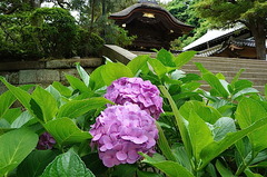 150617�߳л���������2