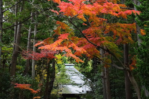 151207��ʡ������