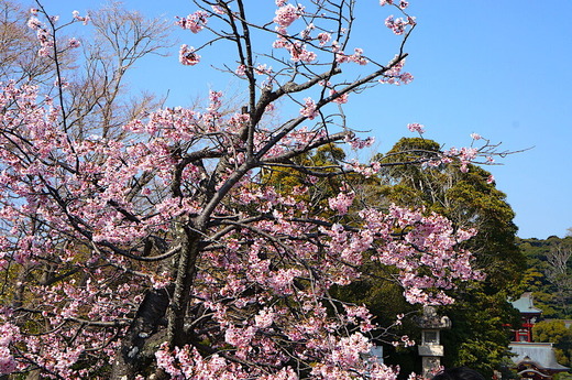 220324�ᲬȬȨ�ܥ�����2