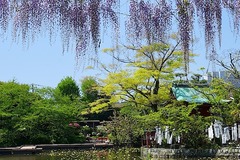 150426��ʿ�ӥե�