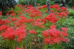 111001�Ѿ����ҥ���Х�