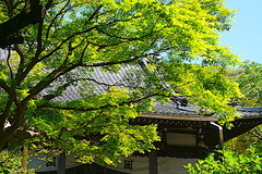 230427�¹���������