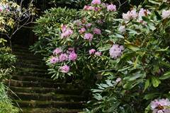 100504�����������㥯�ʥ�