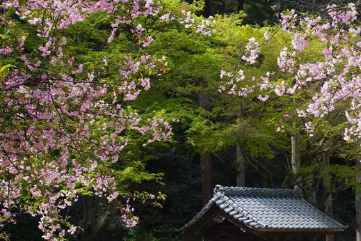 130401̯�ܻ������ɥ�,����