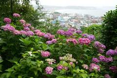 100620Ĺë����������2