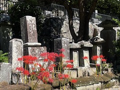 231006̯�ܻ��ҥ���Х�