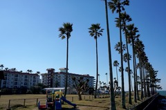 160217��ҥޥ꡼��1