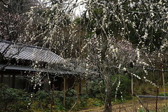 170312��Ļ�����2