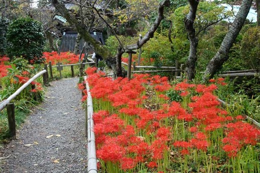 111001�Ѿ����ҥ���Х�3