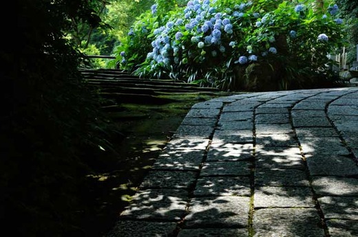 120703̯�ܻ�����������