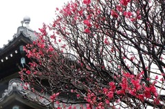 140302�ܳл�����2