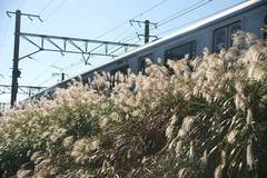 091103���ܲ���������