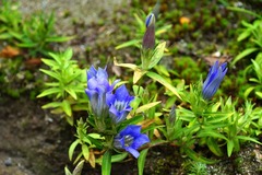 131010��¢�����ɥ�