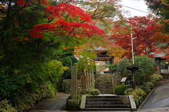 161121��¢������2