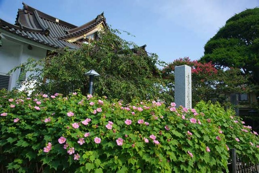 110817̯δ���ե襦