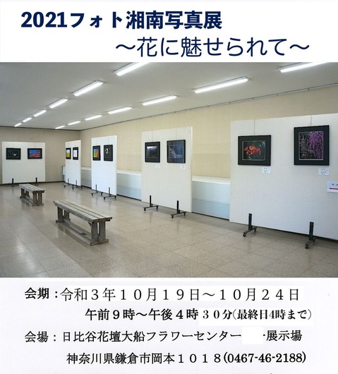 211017�ե��Ⱦ���̿�Ÿ1