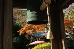 121127��¢������2