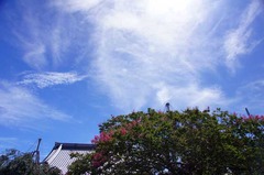 110824�ܶ���