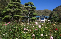 121019����ʸ�شۥХ�