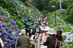 080625��������������