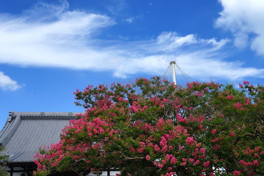 150810�ܶ������륹�٥�