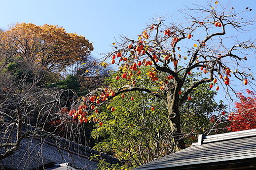 171202���һ�����