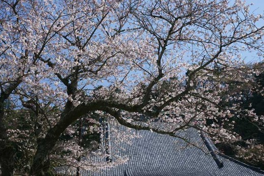 120405̯�ܻ�������