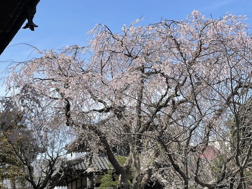 220328�ܳл������쥶����