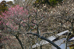 130224Åì·Ä»û¥¦¥á2