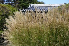 121113���ܱ�������