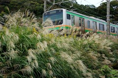 151018���ܲ�������������