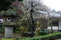 130218¾ïΩ»û¥¦¥á3